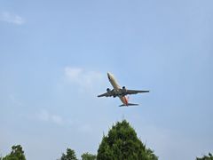 -中福百货(望京店)