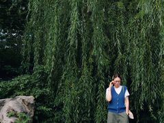 -黑龙江省森林植物园