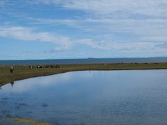 -青海湖国家重点风景名胜区