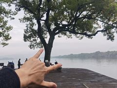-西湖游船