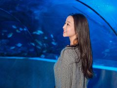 -太平洋海底世界