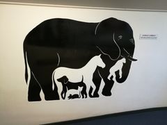 -迷宫世界
