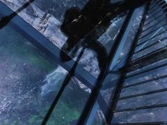 -梦幻奥陶纪景区