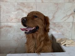 -北京恒爱动物医院(清景园分院)