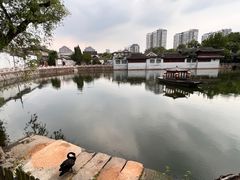 -水绘园