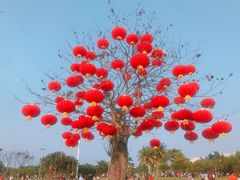-万绿园