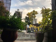 -吴越荣记苏州菜·松鼠桂鱼100%活鱼现做(斜塘老街店)