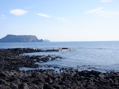 -涉地可支