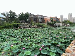 -天津东丽湖风景区