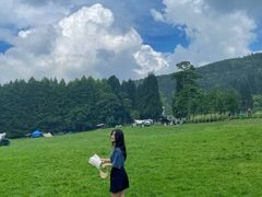 -武陵山森林公园