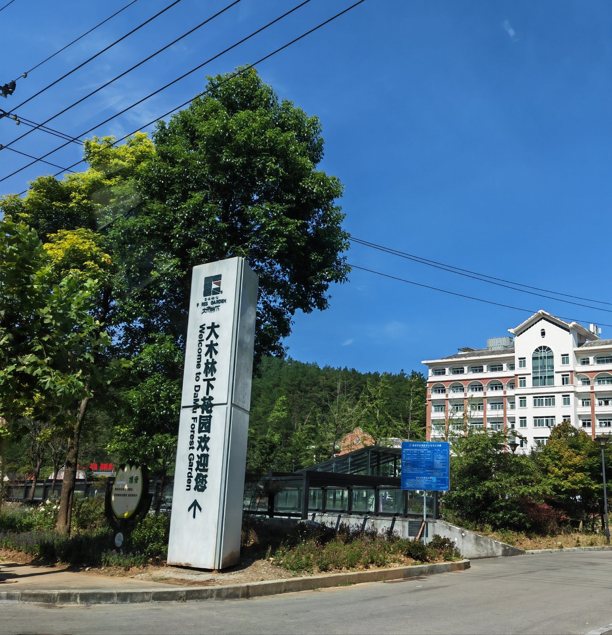 大木林下花园