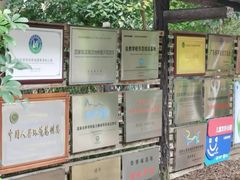 -华侨城湿地公园