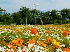 -东钱湖旅游度假区