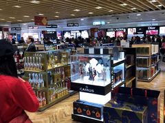 -日上免税行(浦东机场五店)