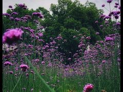 -杭州城北体育公园