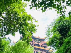 -黄鹤楼公园(黄鹤楼)