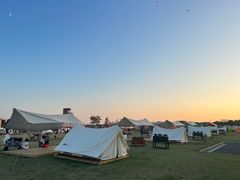 -春花秋色城市公园