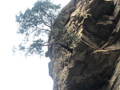 -黑龙潭风景区