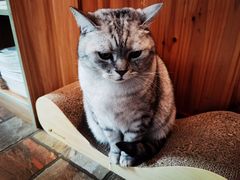 -隅cafe(傅厚岗店)