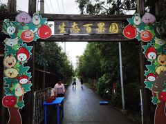 -前小桔亲子创意农场·草莓采摘·露营烧烤