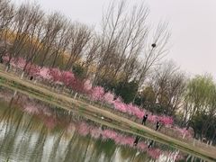 -大兴滨河森林公园