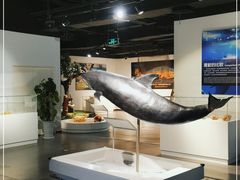 -生命奥秘博物馆