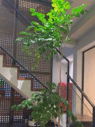 -香秀空间科技抗衰·美容中心