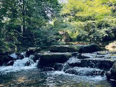 -中国茶叶博物馆(双峰馆区)