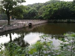 -普陀山风景名胜区-法雨禅寺