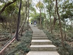 -小南山公园
