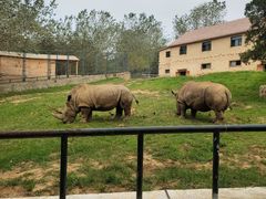 -大连森林动物园