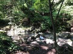 -香炉山国家森林公园