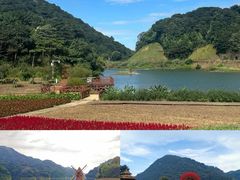 -广州市石门国家森林公园