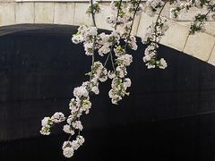 -海棠花溪(元大都城垣遗址公园)