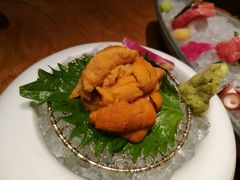 -松涛日本料理