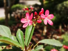 -广州市白云山风景名胜区