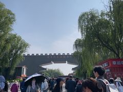 -洛阳市隋唐城遗址植物园