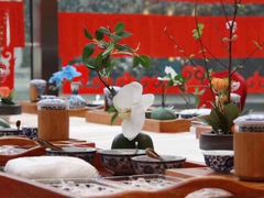 -亮马河饭店翠雅咖啡厅