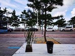 -一杯海(国际海水浴场店)