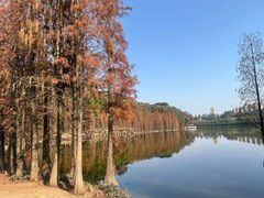 -三水森林公园