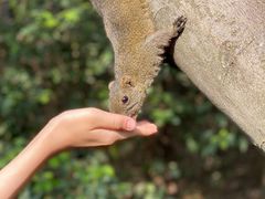 -云南野生动物园