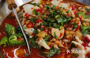 Signature Squid Rings