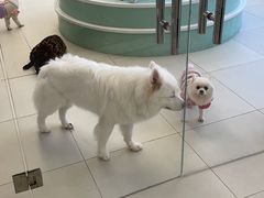 -怪兽屋·羊驼·猫咖·狗咖(俊华广场店)