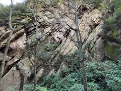 -大岭沟猕猴桃谷风景区