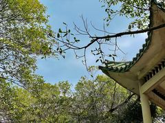 -广州市帽峰山景区