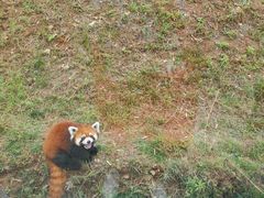 -青岛森林野生动物世界