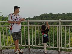 -铁山坪森林公园