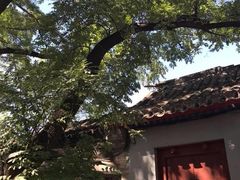 -北京国子监胡同