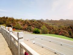 -贵州百里杜鹃风景名胜区