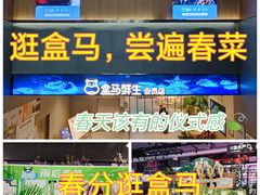 -盒马鲜生(财富领域店)